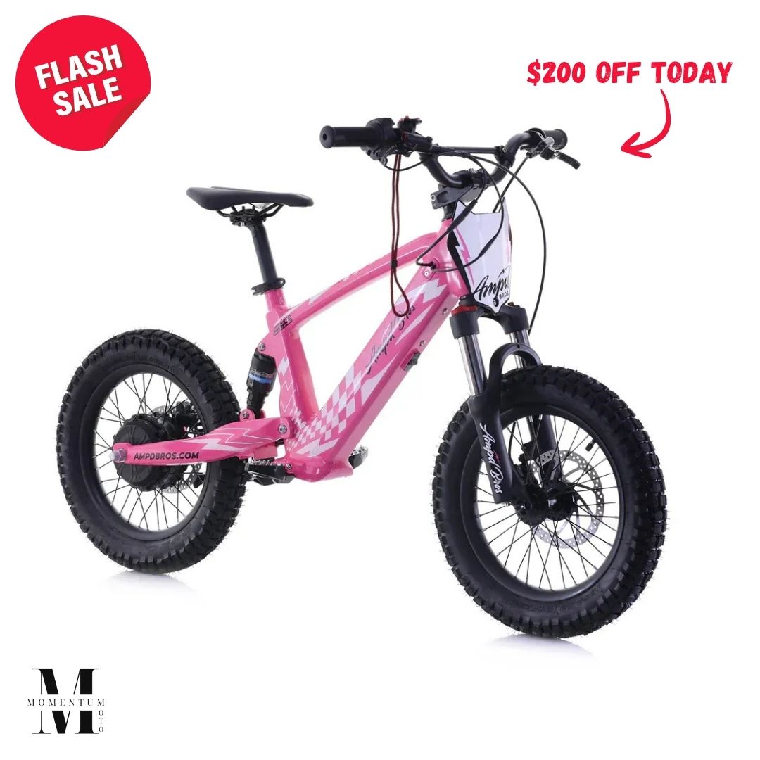 Momentum Moto Facebook ad