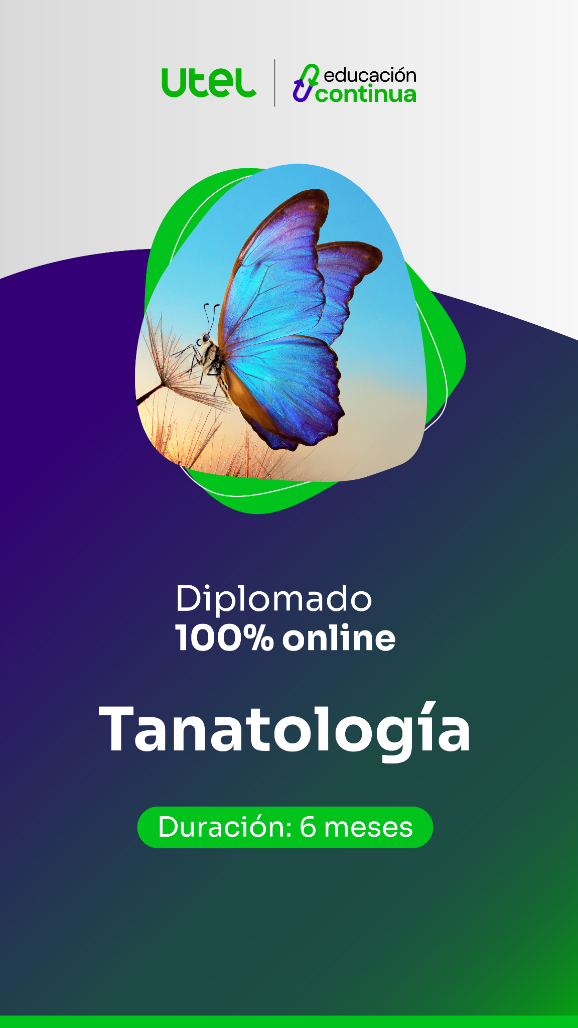 Utel Universidad Facebook ad