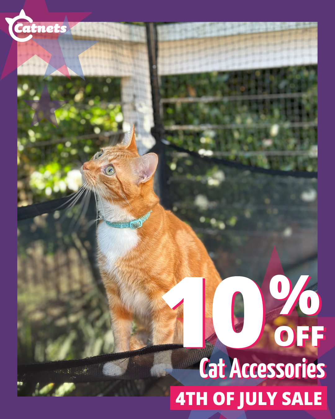 Catnets USA Facebook ad