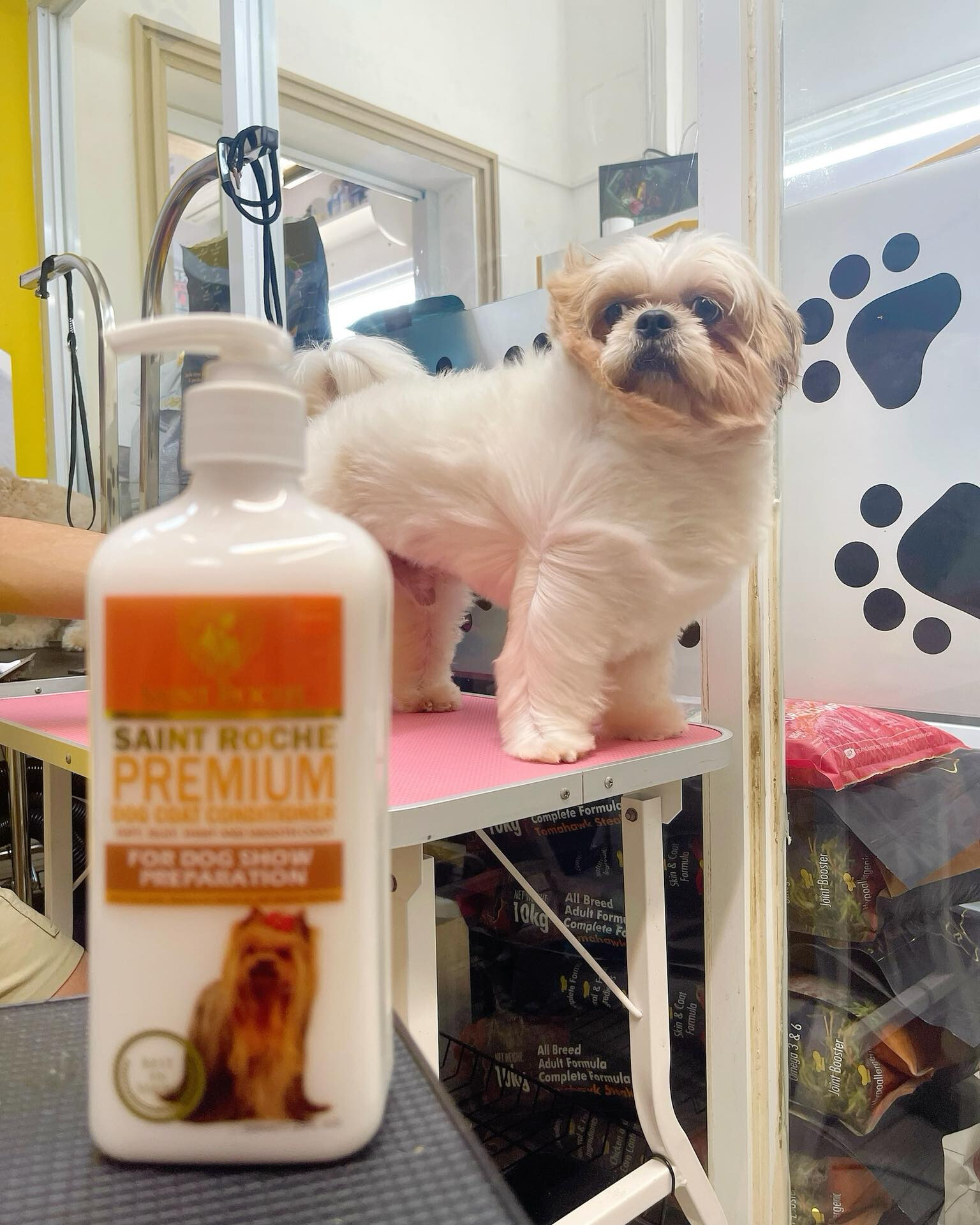 Saint Roche Premium Dog Shampoo Facebook ad
