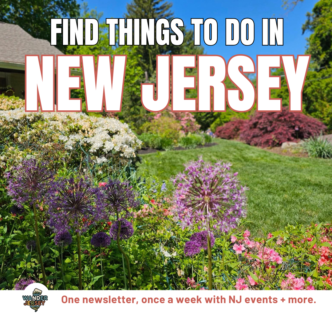 Wander Jersey Facebook ad: The free NJ newsletter locals actually look forward to…