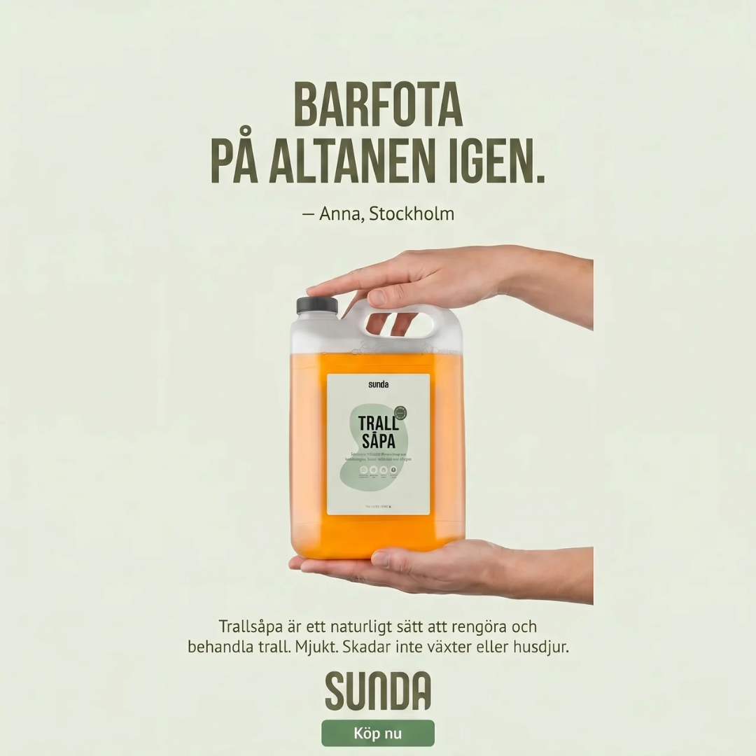 Sunda Facebook ad