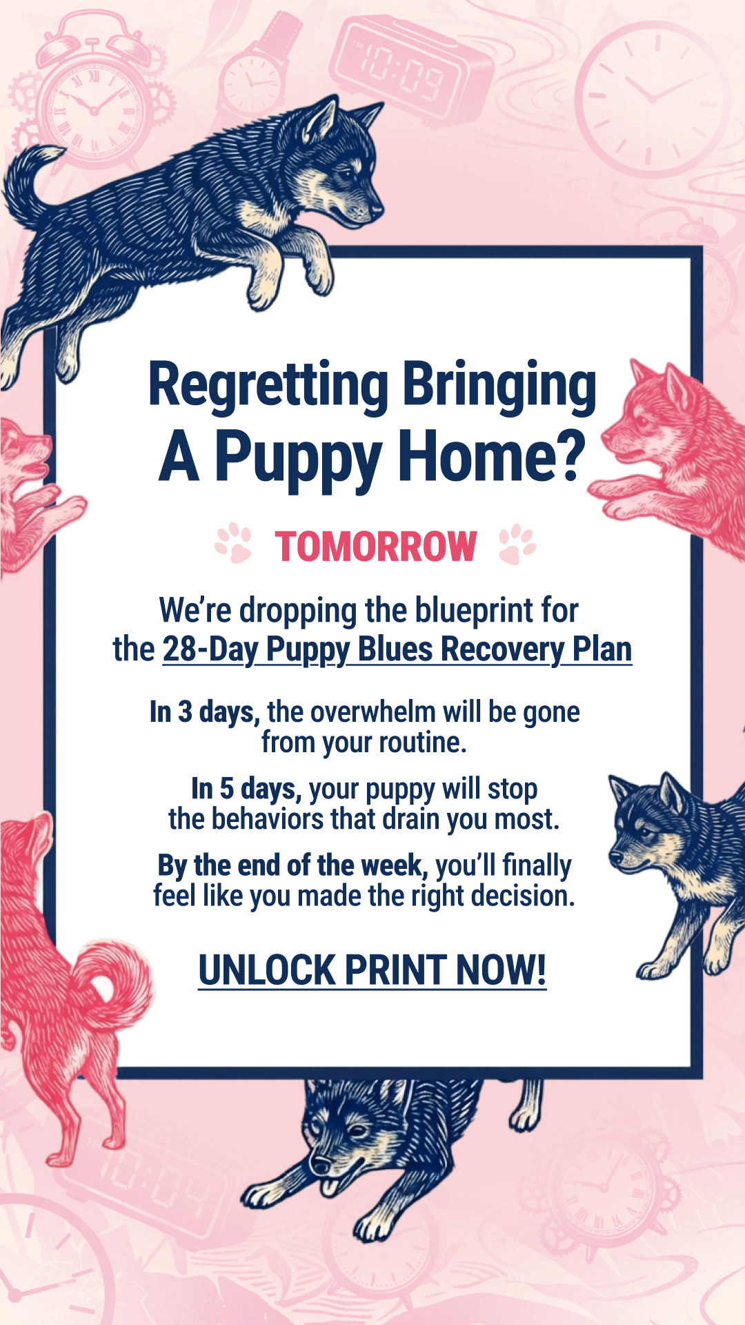 Woofz - Puppy Training Facebook ad