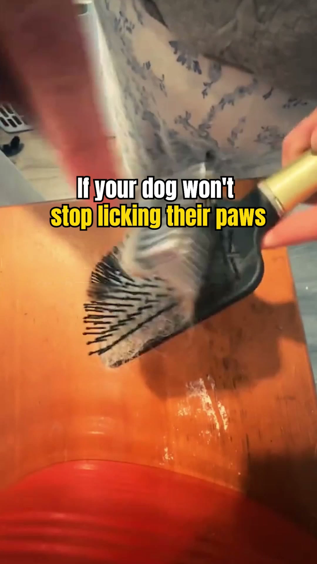 Proud Dog Parents Facebook ad: Stop The Scratching, BUY 2 GET 1 FREE