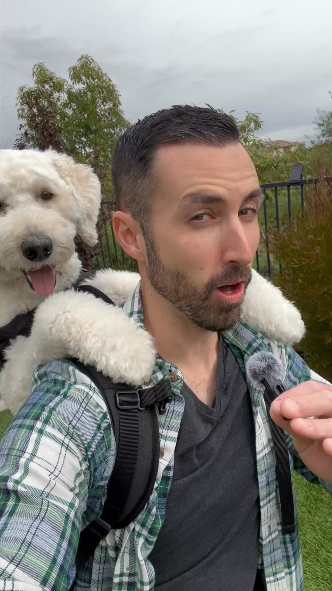K9 Sport Sack Facebook ad: Adventure Is Better Together