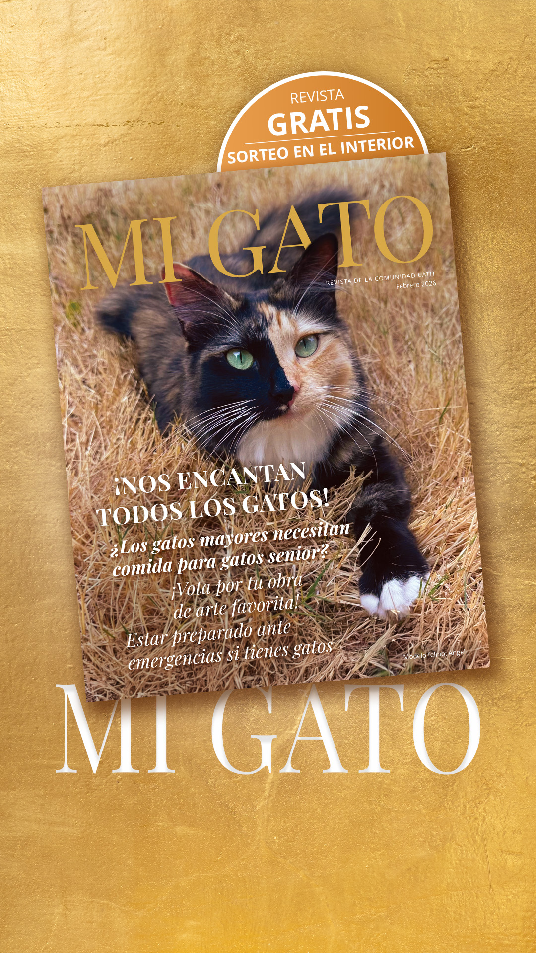 Catit España Facebook ad