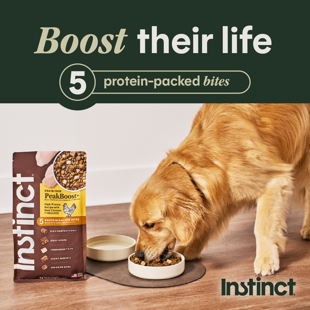 PetSmart Facebook ad