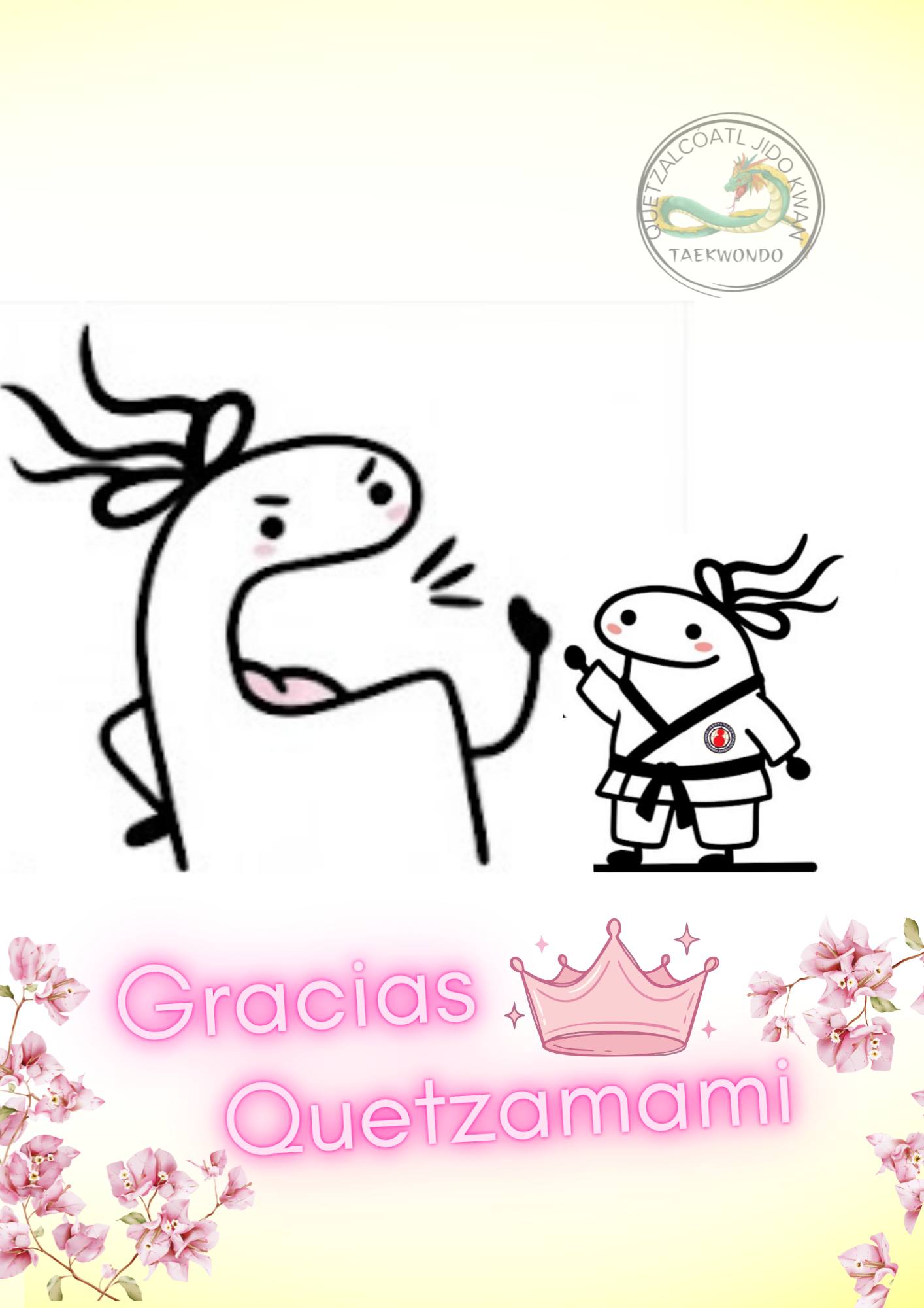 Tkd Quetzalcóatl Facebook ad: Sabia es mamá