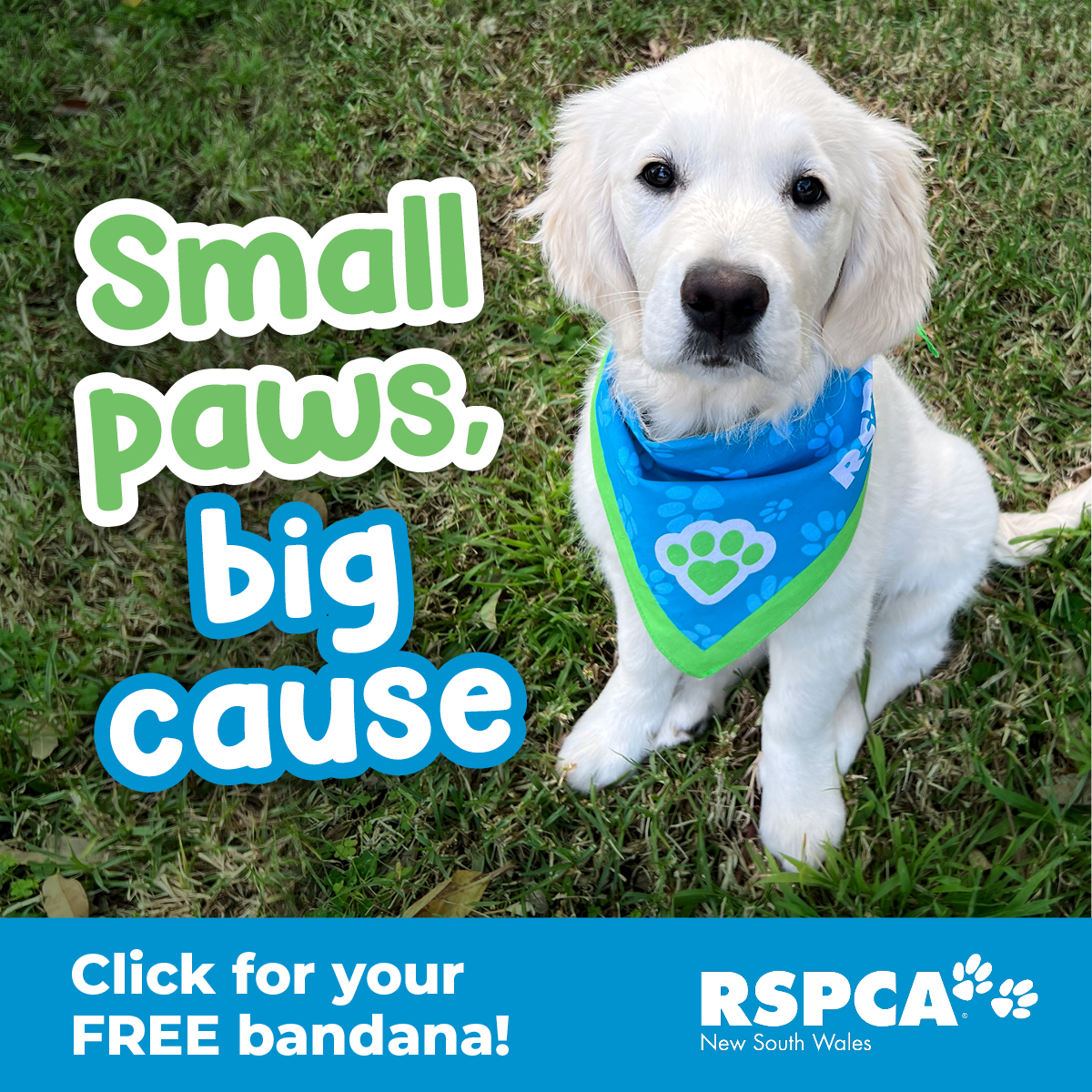 RSPCA NSW Facebook ad