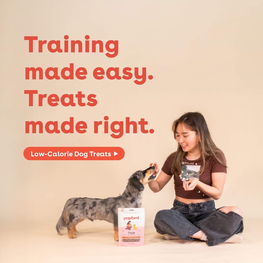 Pupford Facebook ad