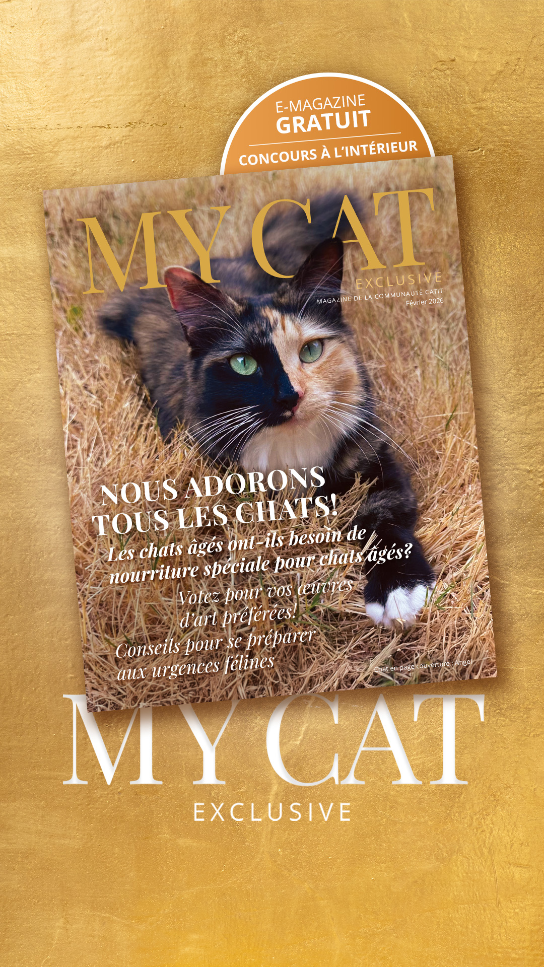 Catit Canada Facebook ad