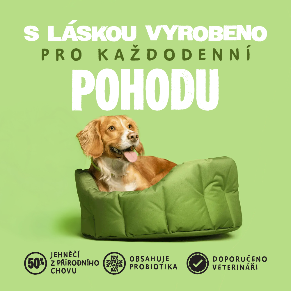 Barking a Meowing Heads CZ Facebook ad