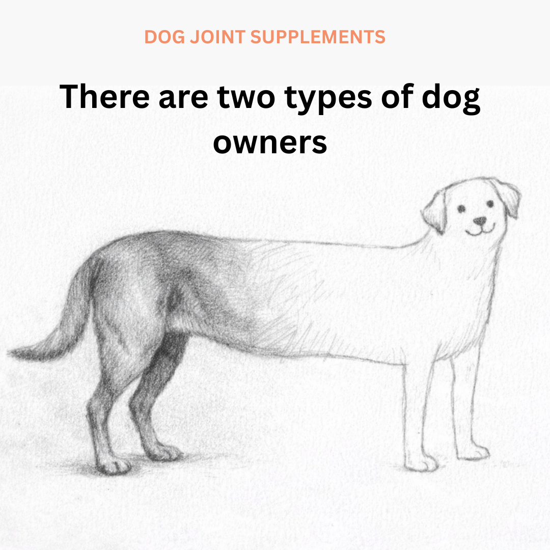 Pawable Facebook ad