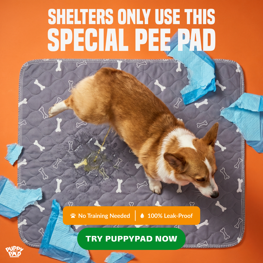 PuppyPad Facebook ad