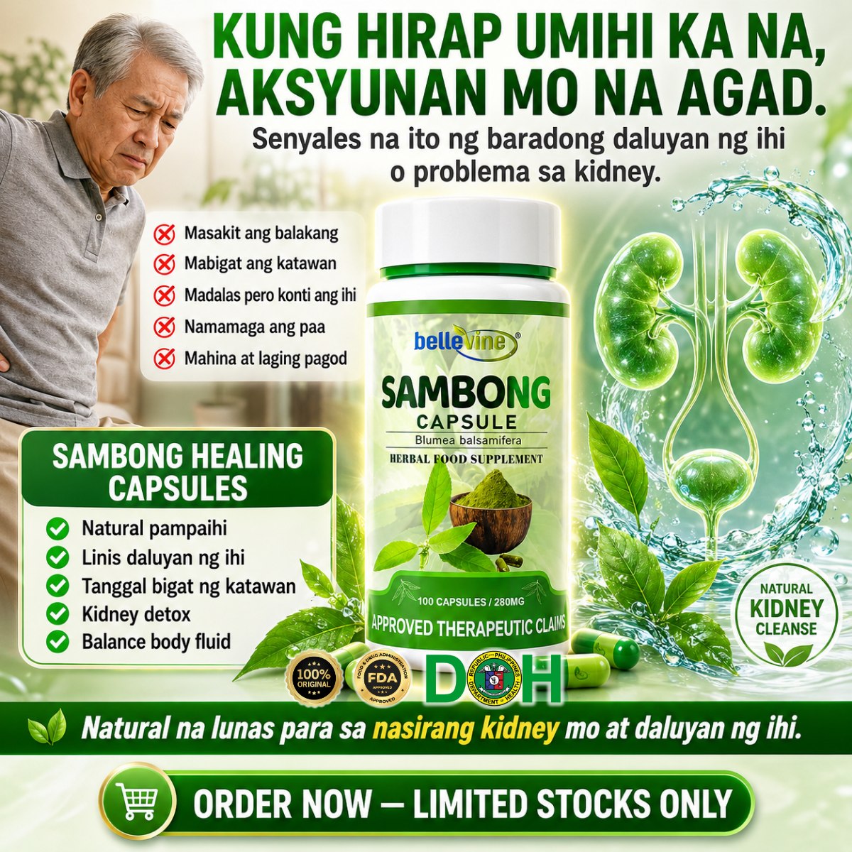 Sambong Healing Capsules PH Facebook ad