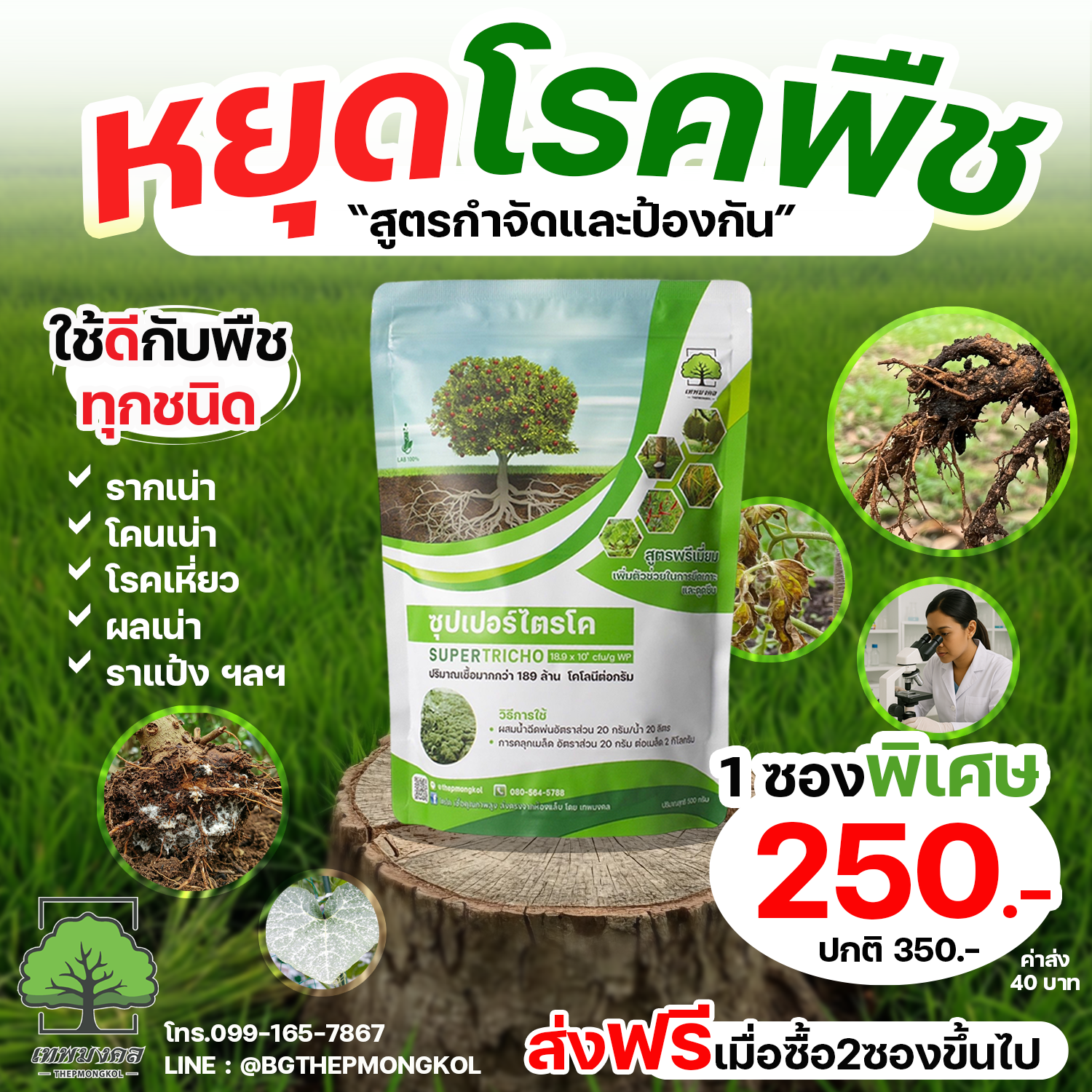 ซุปเปอร์ไตรโค สูตรป้องกันและกำจัดเชื้อรา Facebook ad