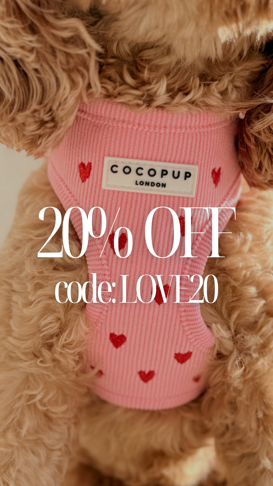 Cocopupuk Facebook ad