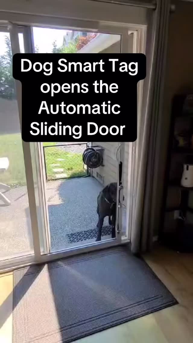 LycheeThings Facebook ad: The smart pet door featured in The Wall…