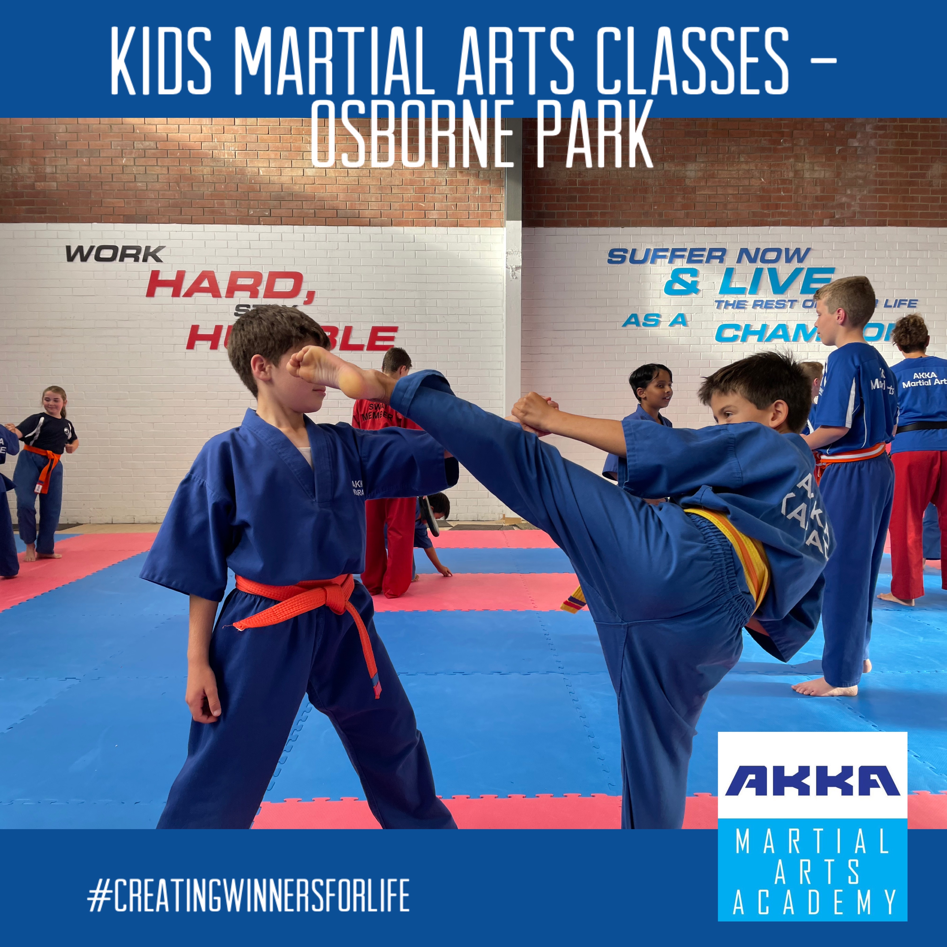 AKKA Martial Arts Perth Facebook ad