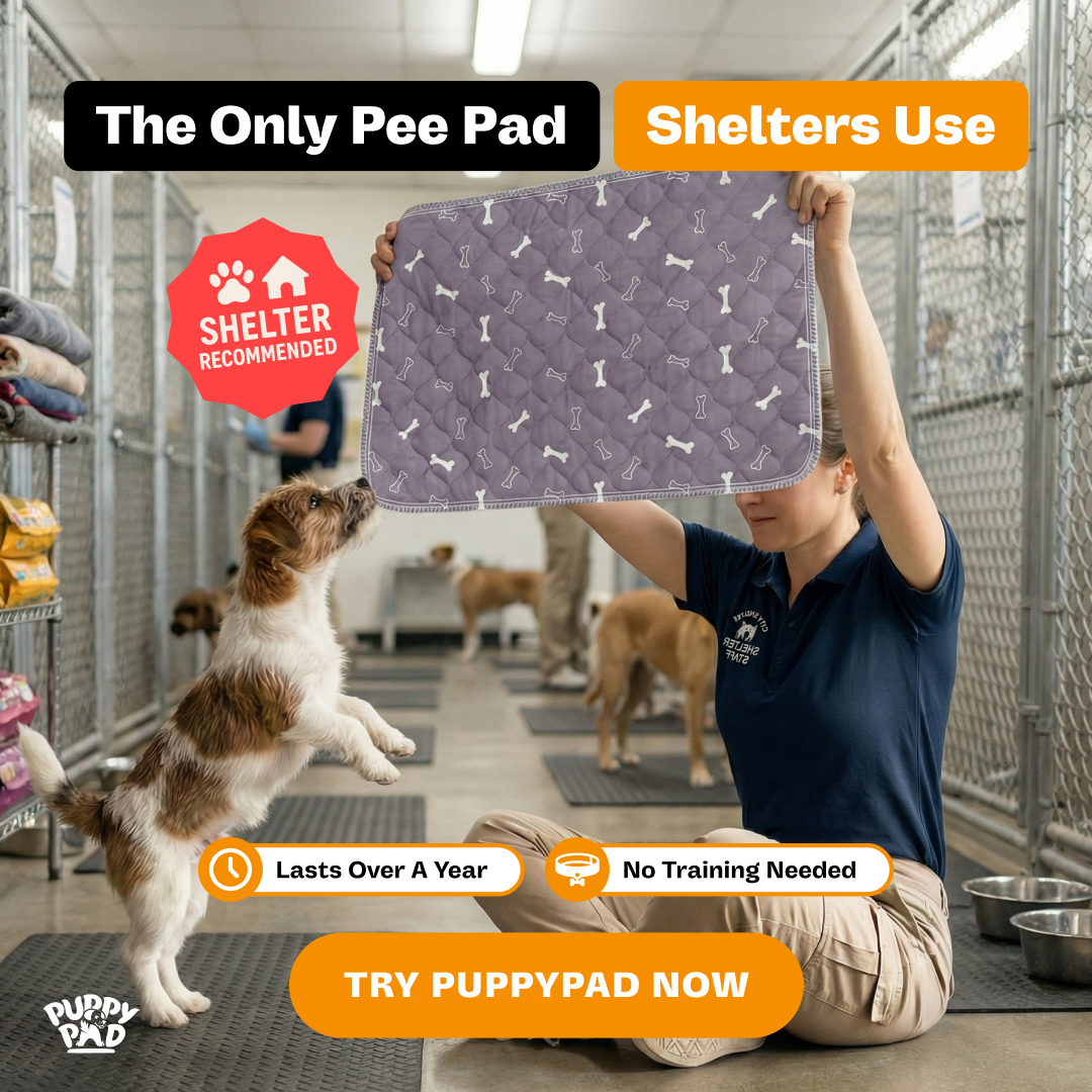 PuppyPad Facebook ad