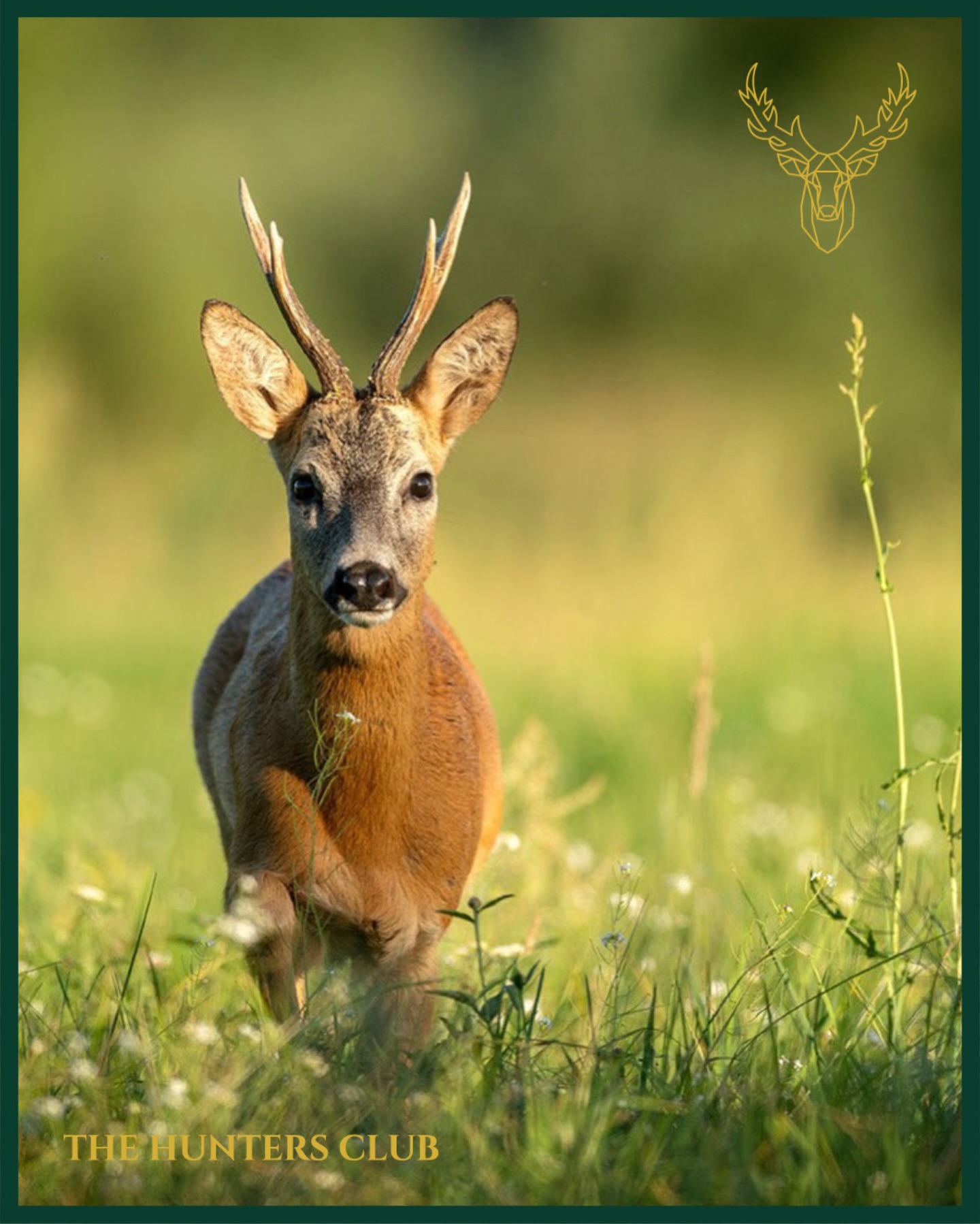 thehuntersclub_net Facebook ad: Im ersten Licht.