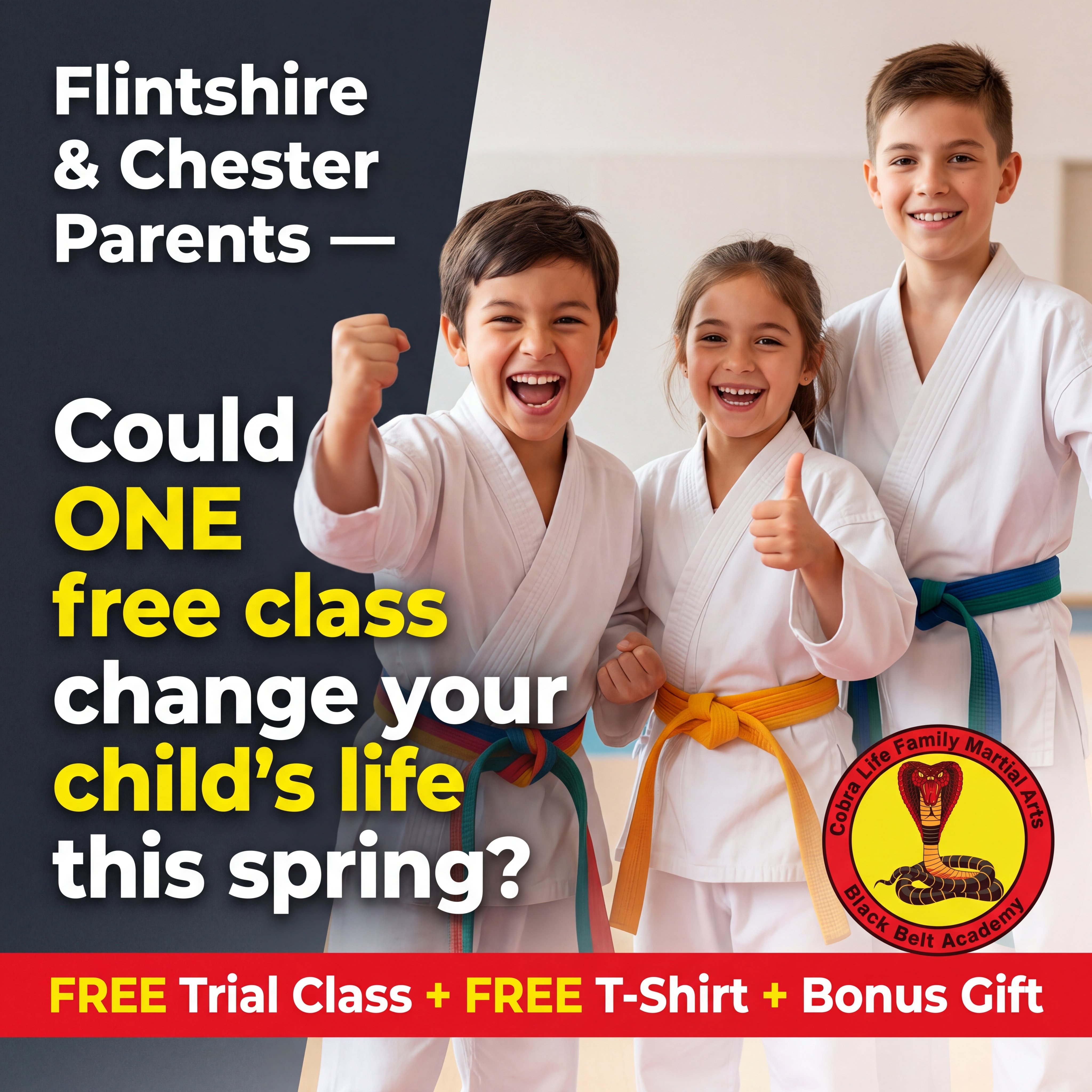 Cobra Life Family Martial Arts Black Belt Academy Facebook ad