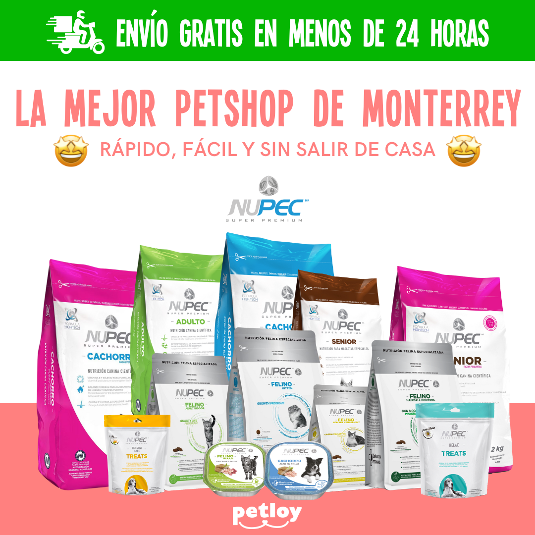 Petloy Monterrey Facebook ad