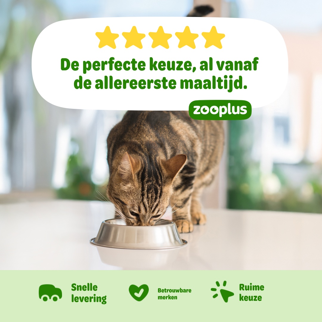 zooplus Facebook ad