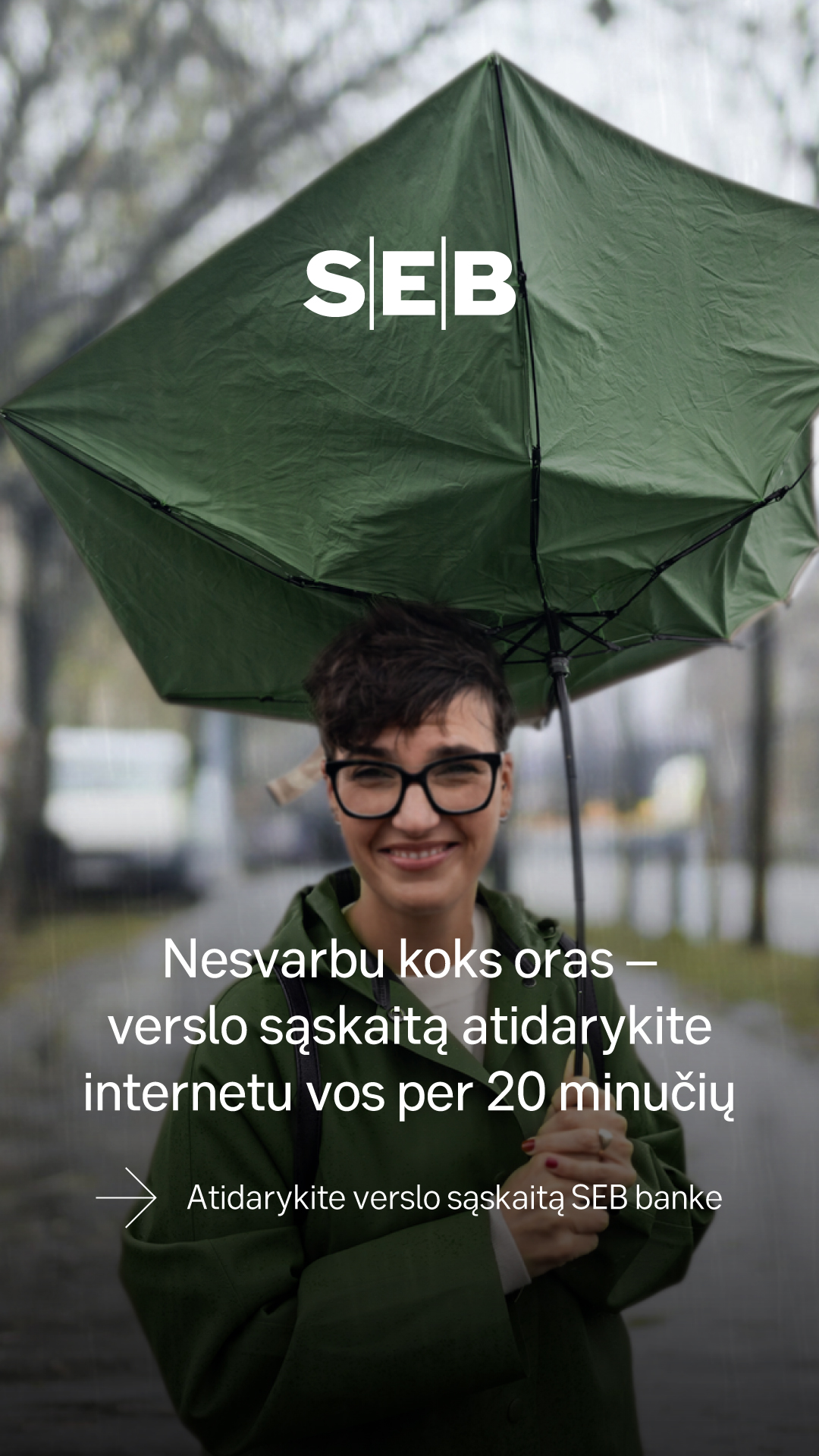 SEB Lietuvoje Facebook ad