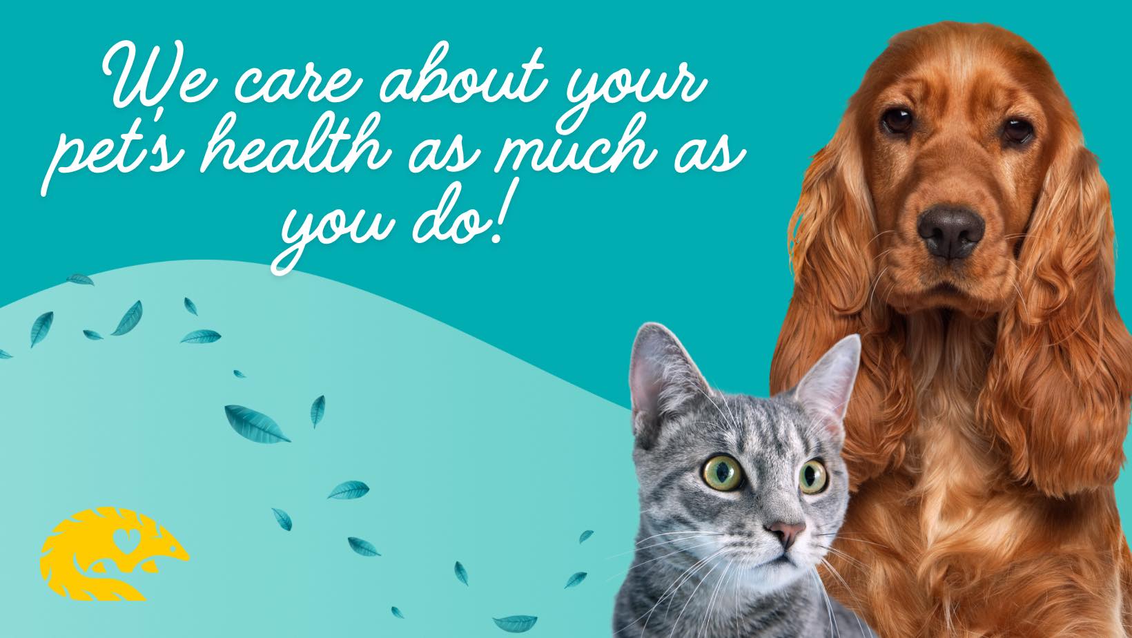 Akira Animal Hospital Facebook ad: Veterinary Practice