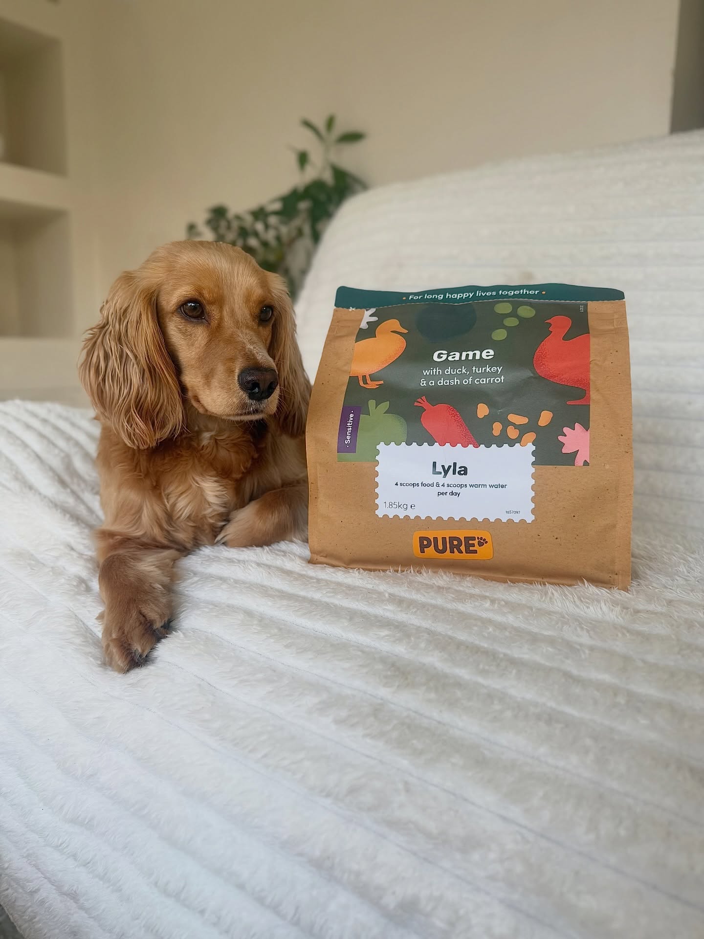 lyla_the_cocker Facebook ad