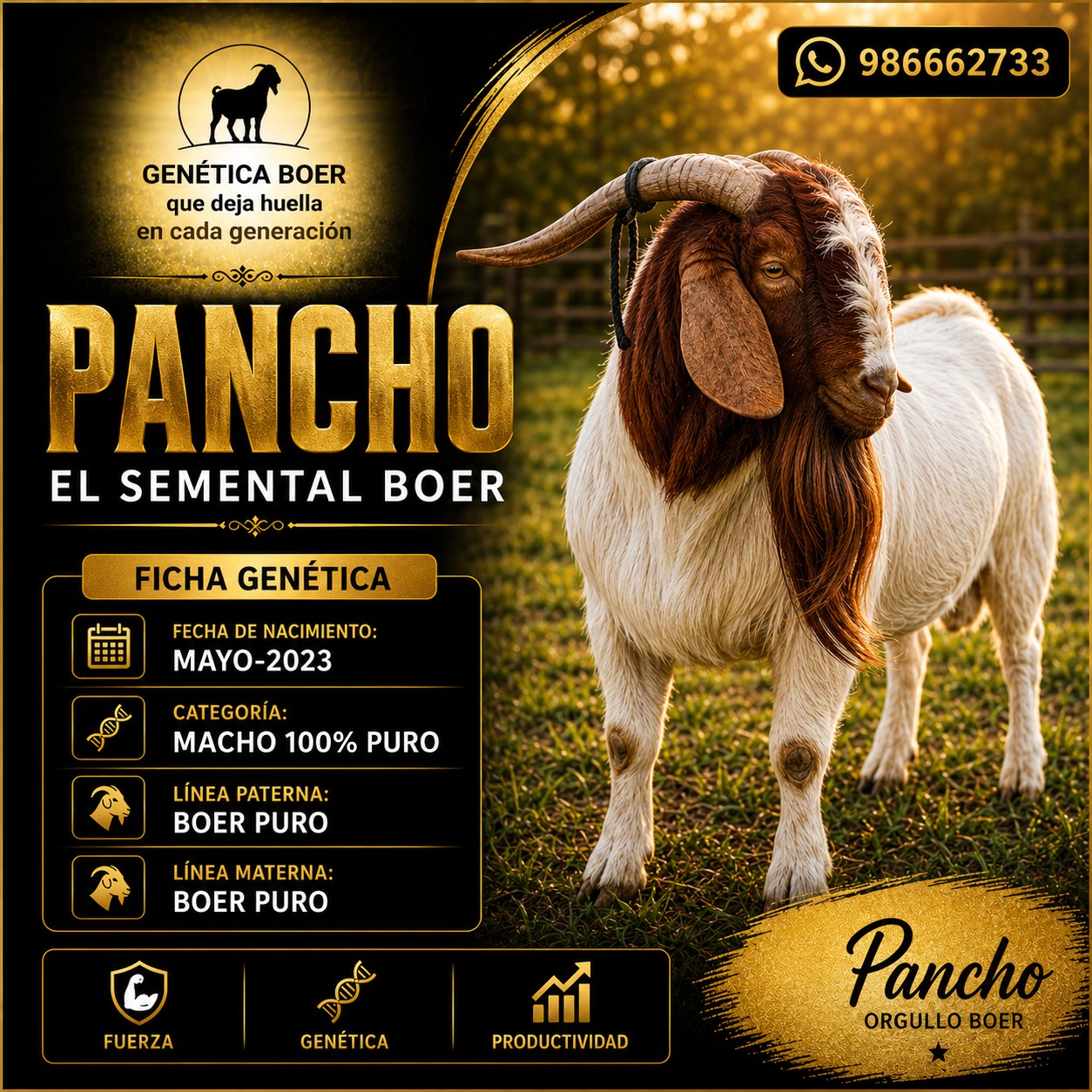 Aprisco Danivi Facebook ad from Jun 4, 2026