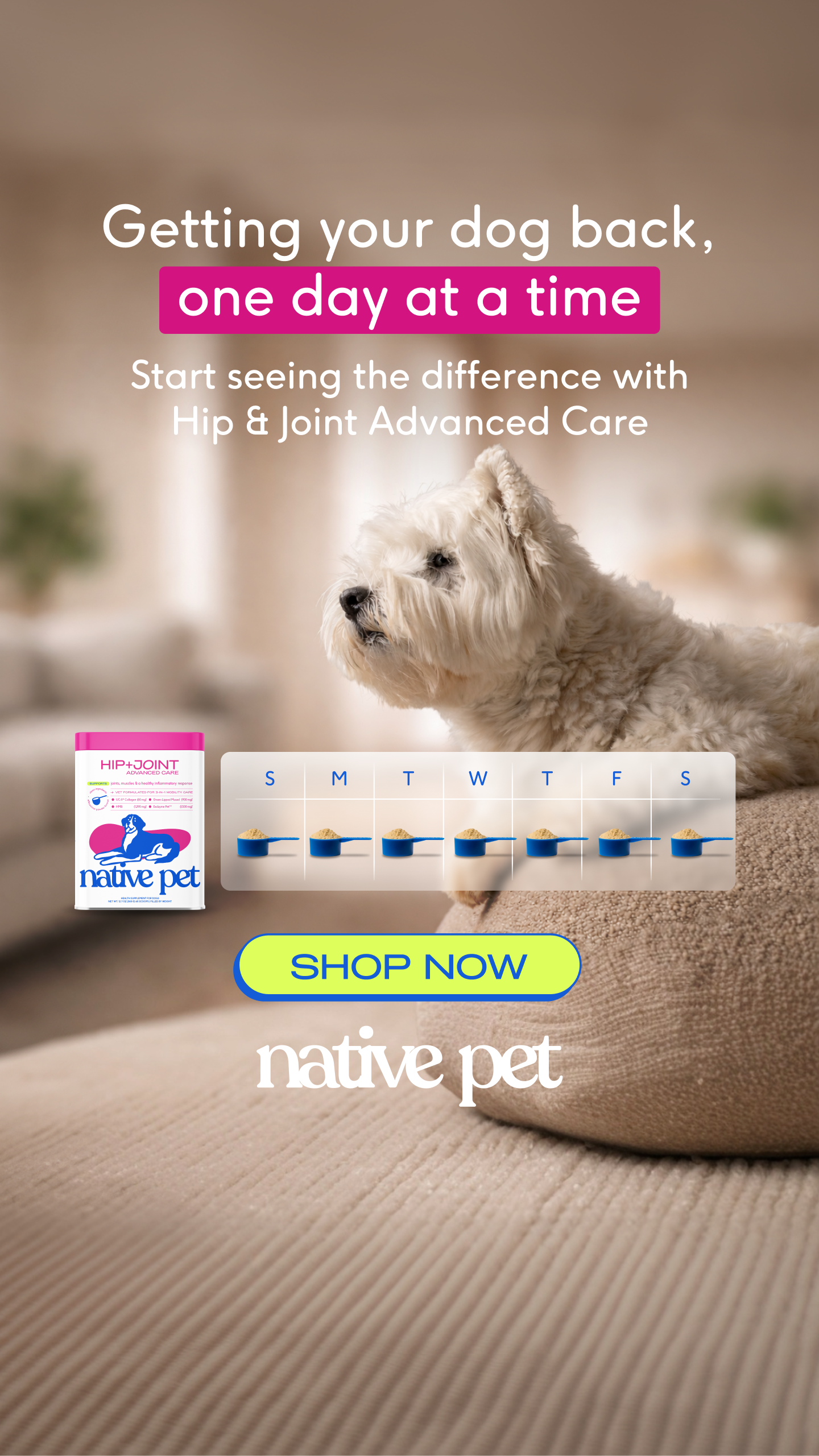 Native Pet Facebook ad