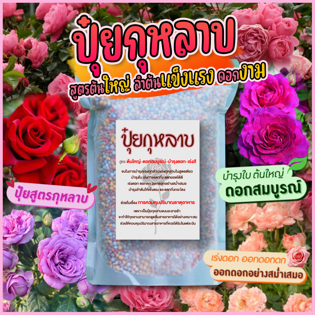 ปุ๋ยกุหลาบ คนทำเกษตร Facebook ad: เร่งราก บำรุงลำต้นแข็งแรง แตกกิ่งแตกยอด…