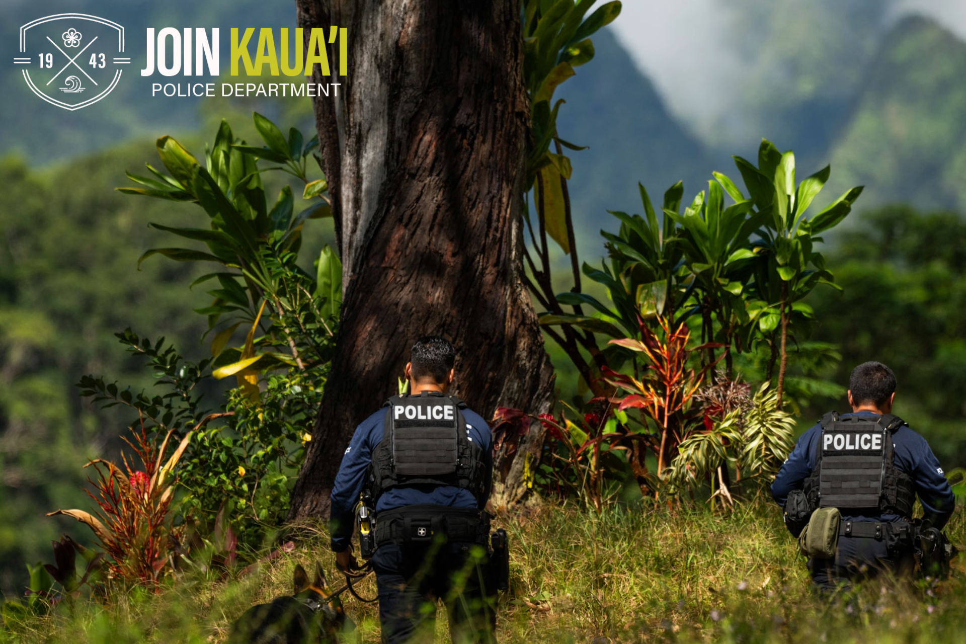 Kaua'i Police Department Facebook ad