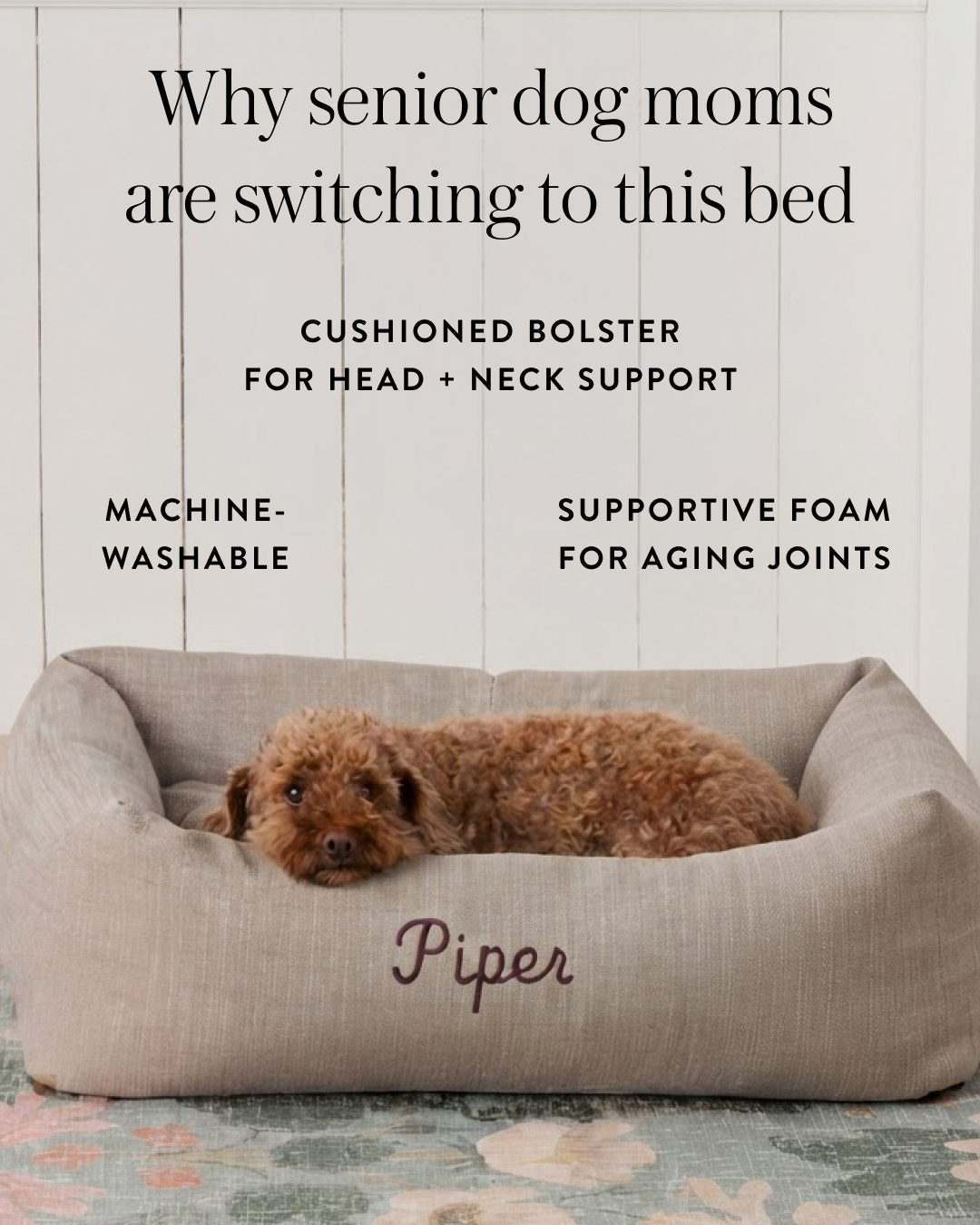 The Foggy Dog Facebook ad