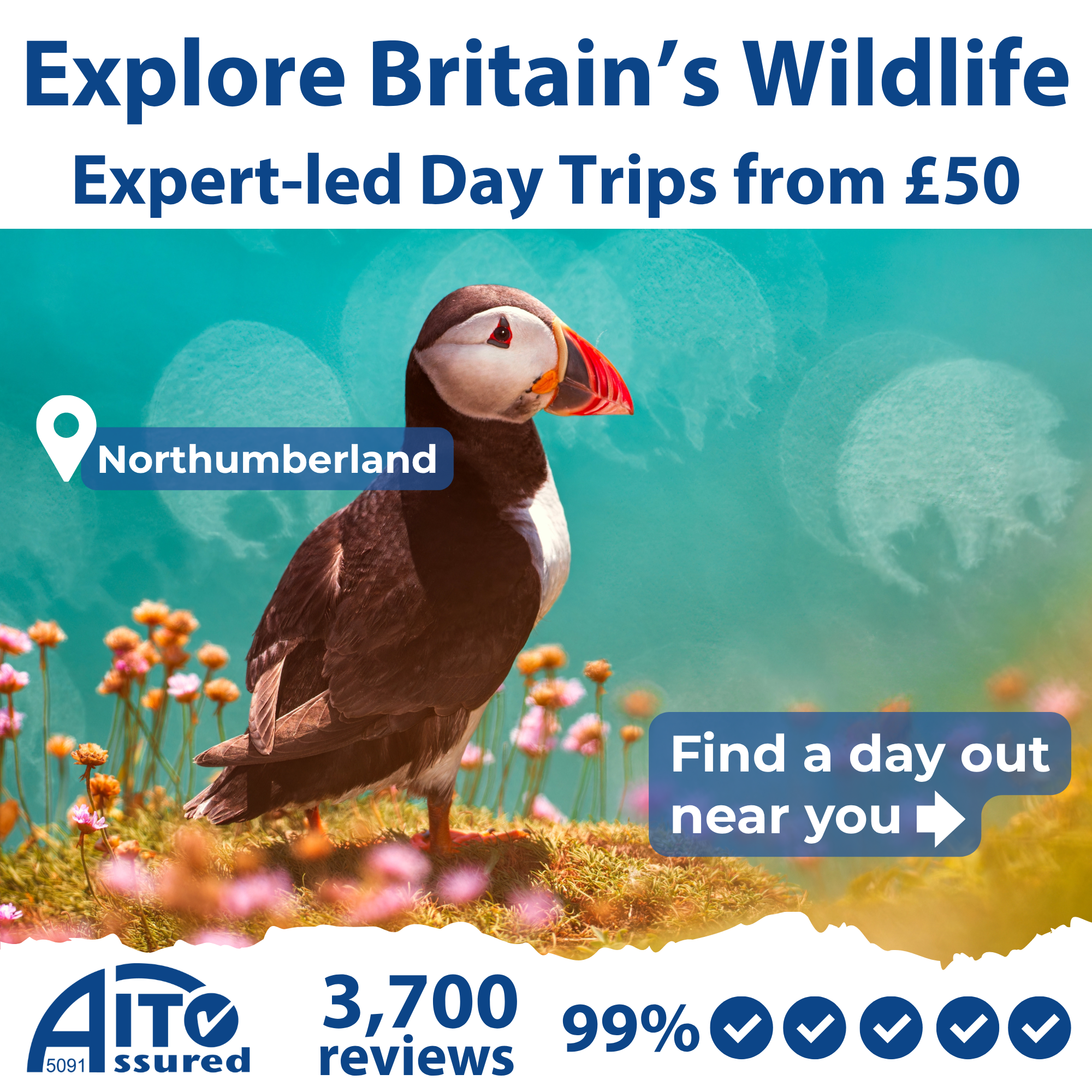 Naturetrek Wildlife Holidays Facebook ad: UK Day Trips Led by Expert Naturalist Guides