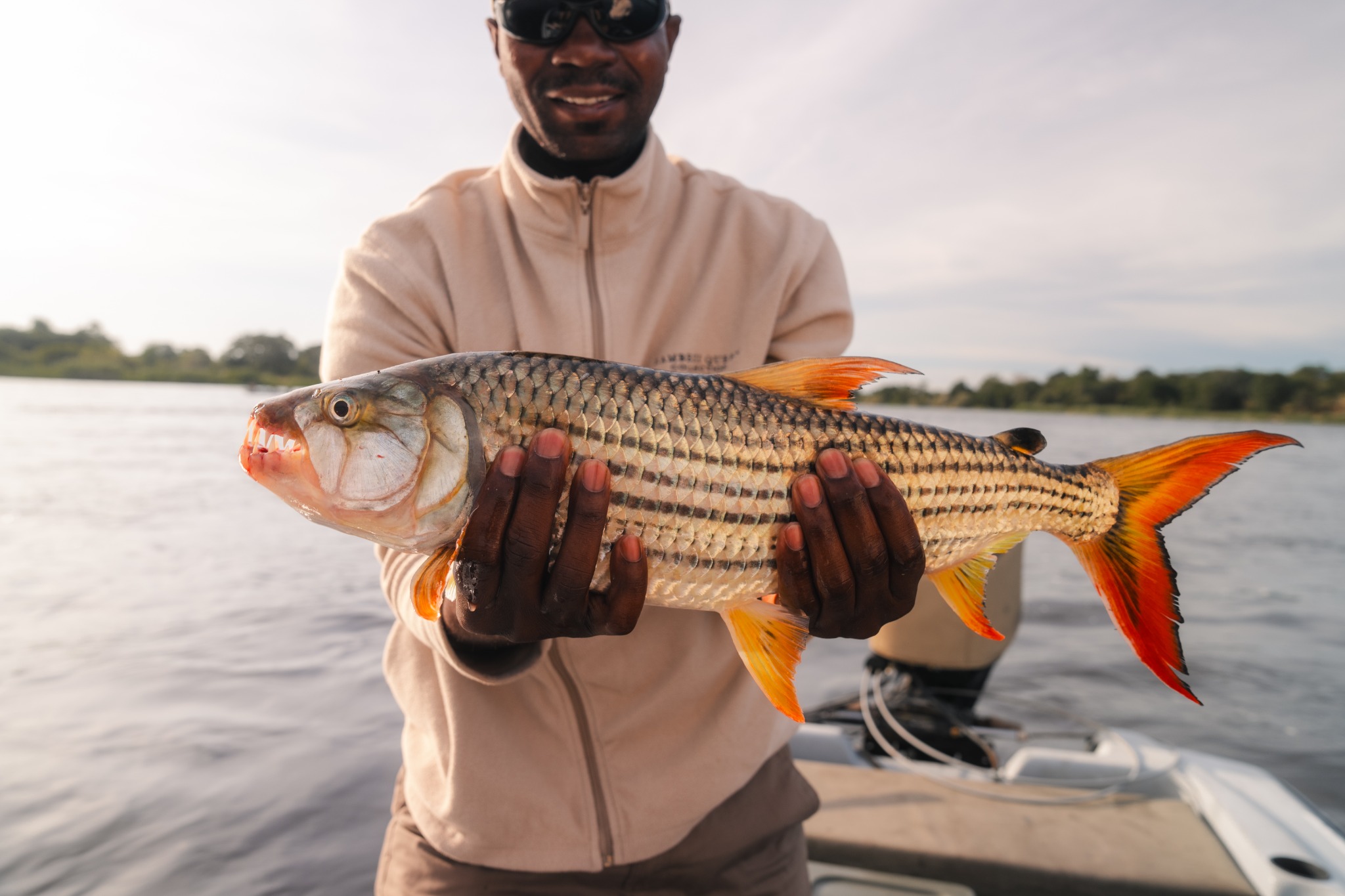 Ichingo Chobe River Lodge Facebook ad: Unfussy fishing safaris on the Namibian side of…