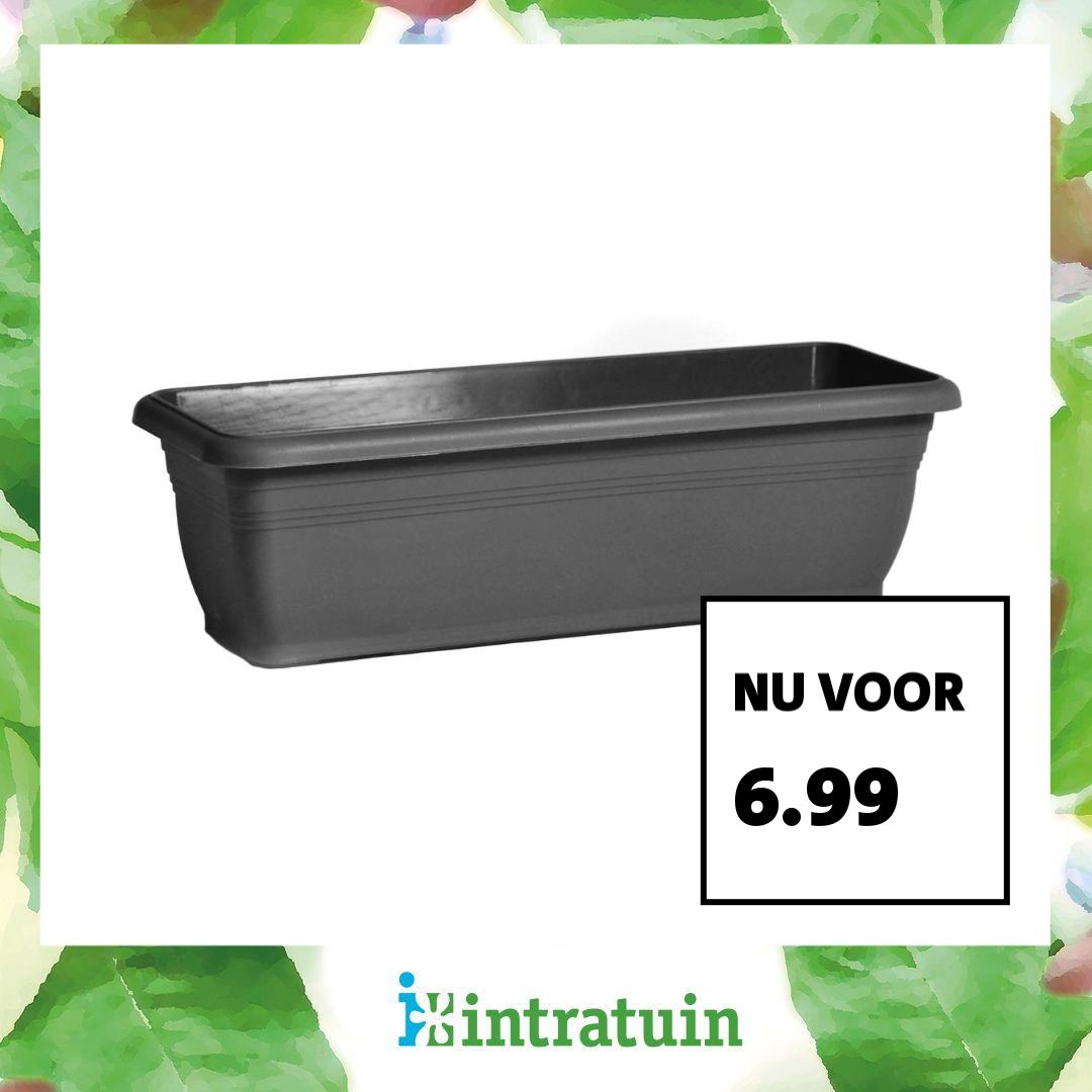 Intratuin Facebook ad