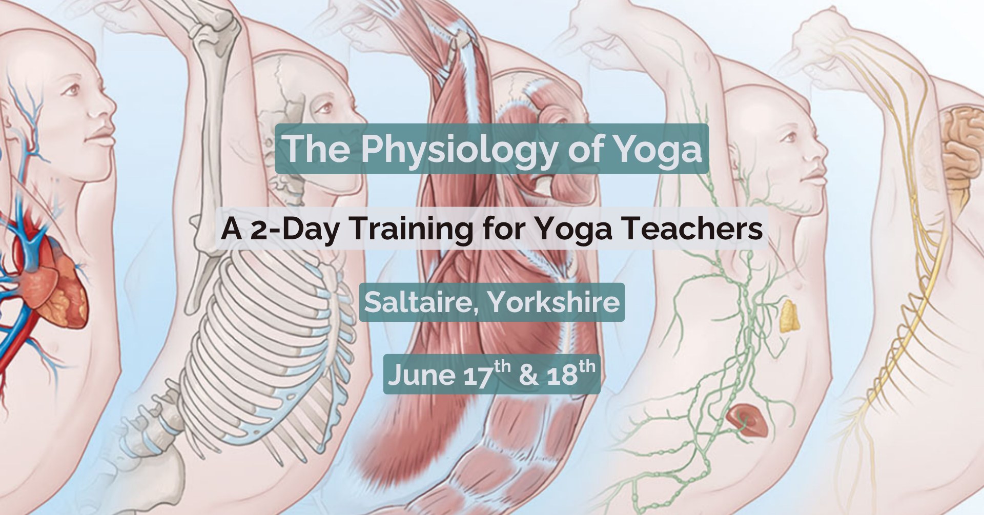 Doctor Yogi Facebook ad