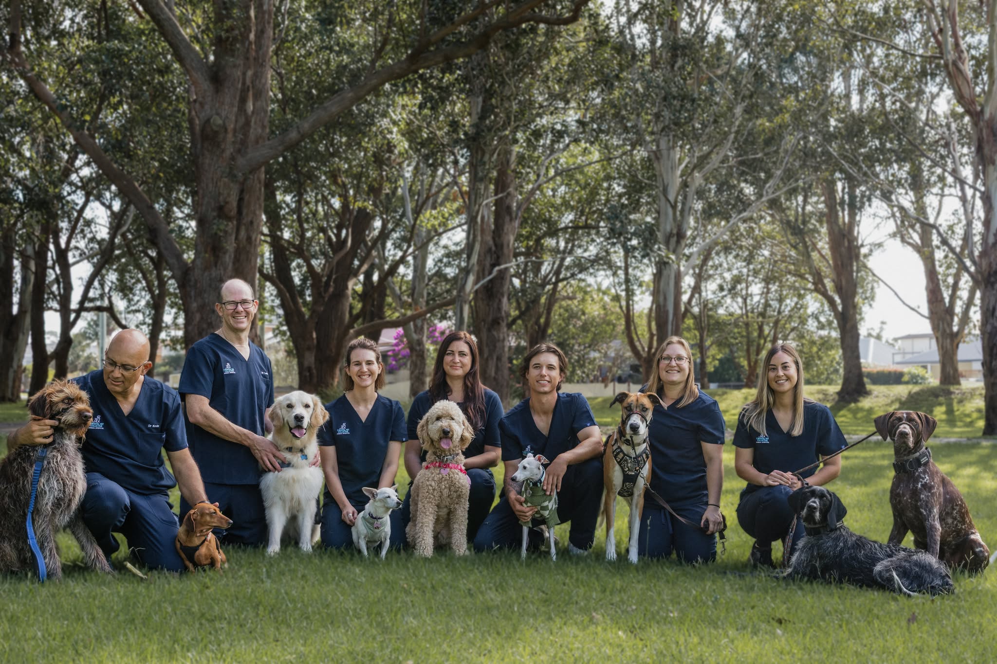 Coastal Vet Collective Facebook ad: Coastal Vet Collective Animal Hospital - Fairy Meadow