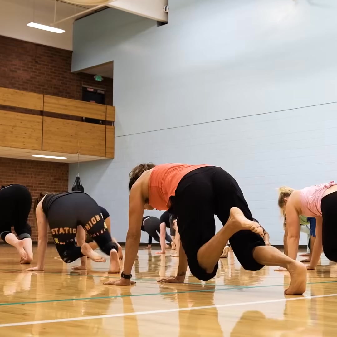 Animal Flow Facebook ad: Upcoming Certification Workshops