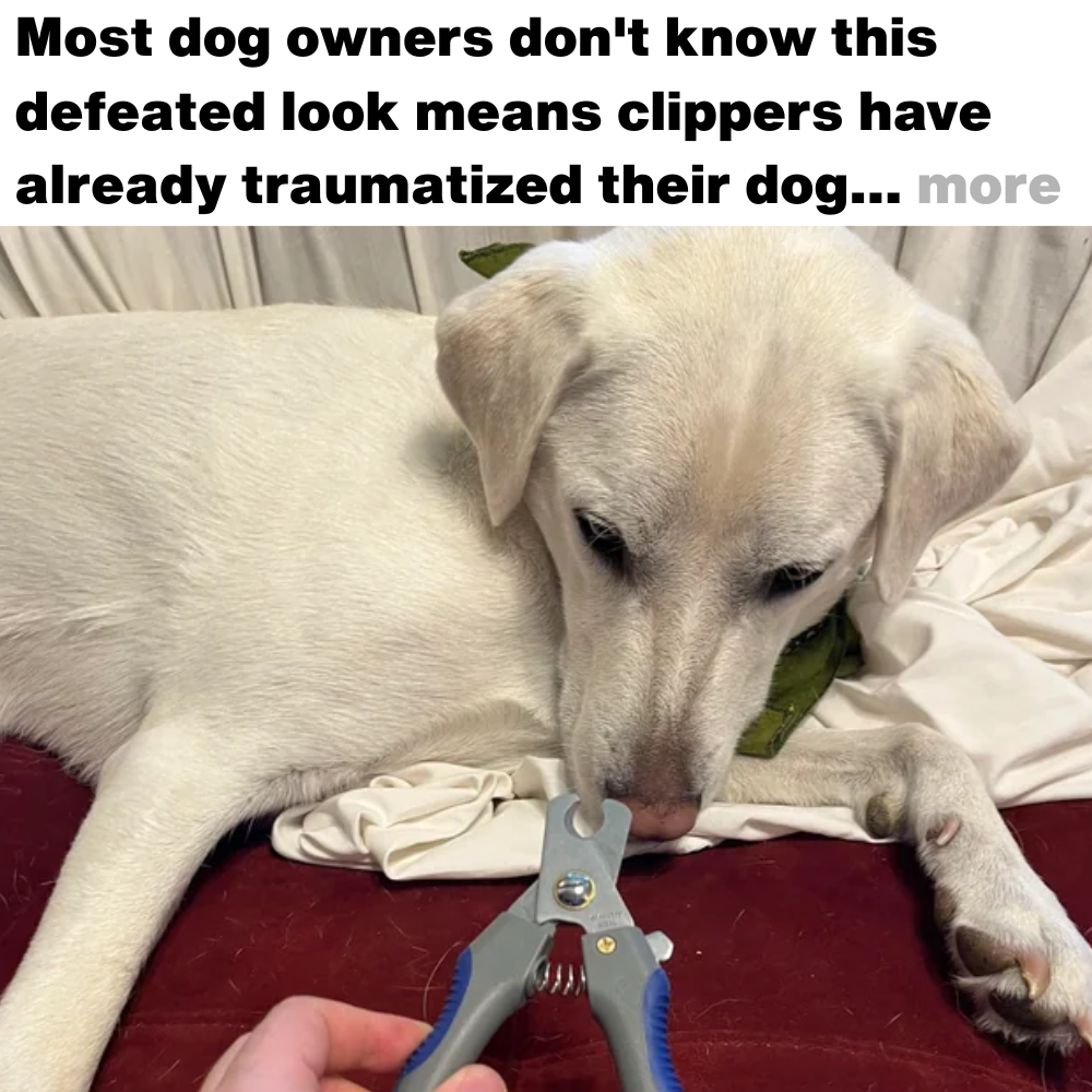 Nancys Health Blog Facebook ad: Read This If Nail Trimming Is A Battle