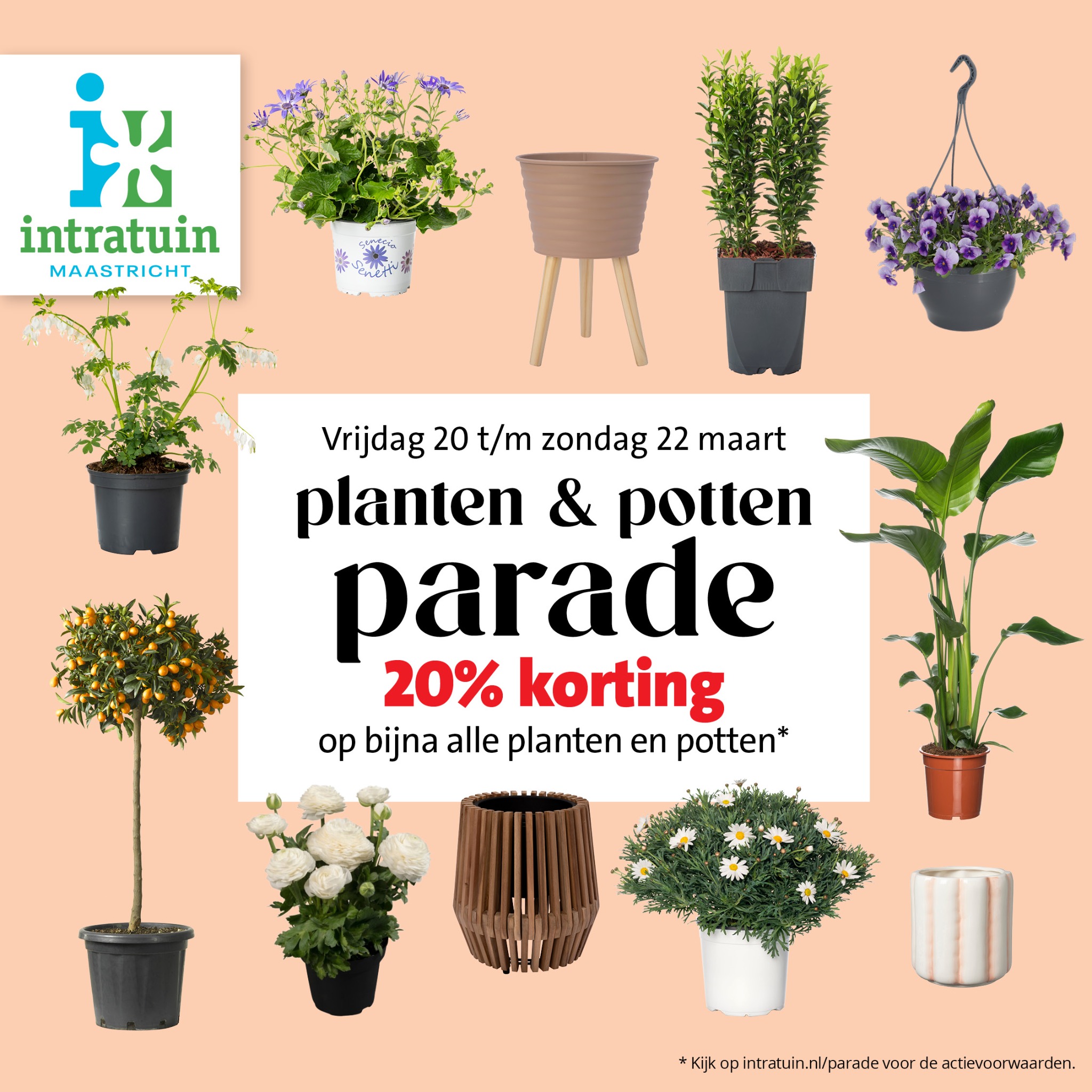 Intratuin Maastricht Facebook ad