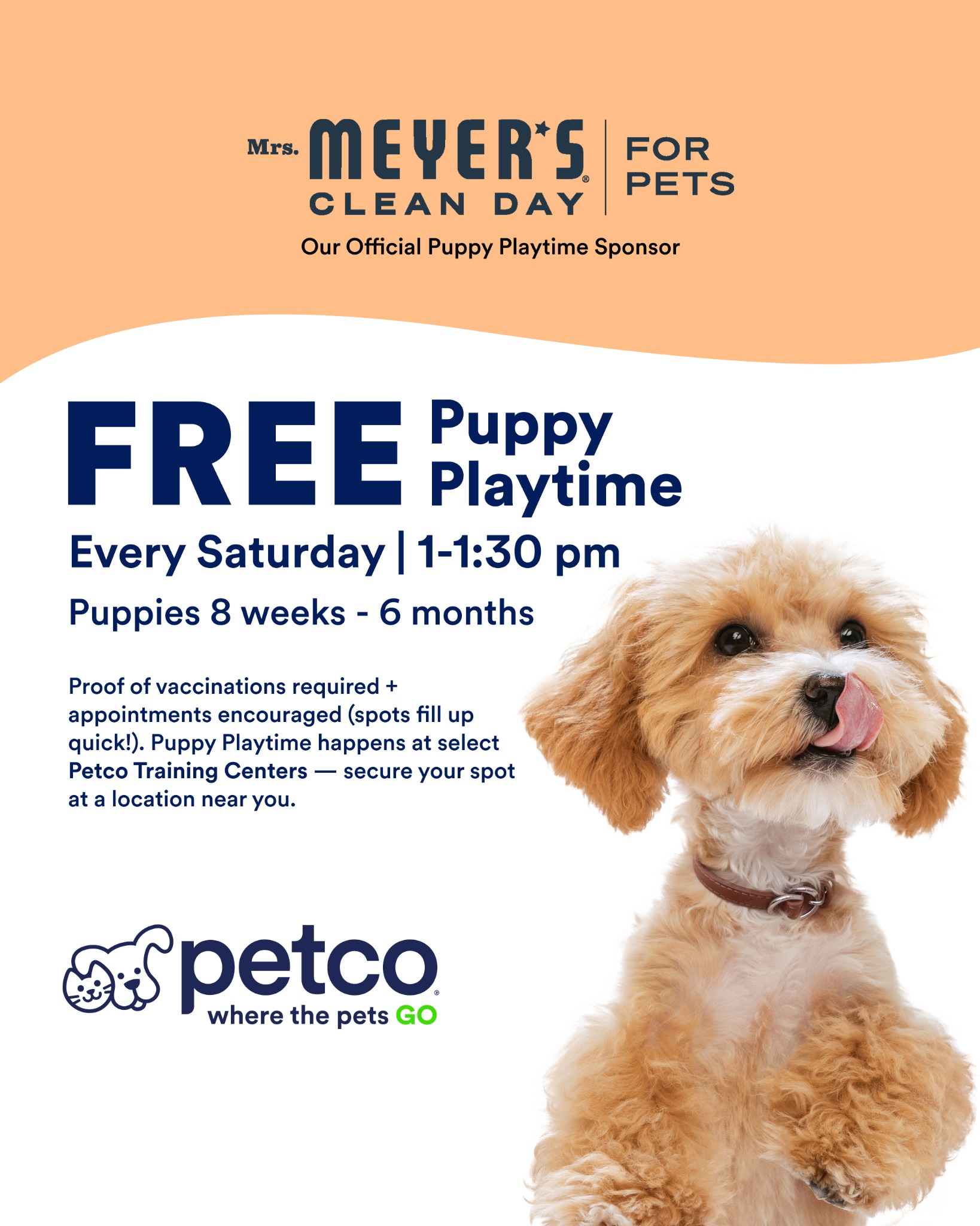 Petco Facebook ad