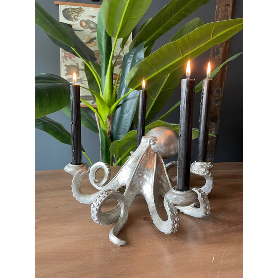 Skinny Pig Interiors Facebook ad: It’s like walking through an old curiosity shop…