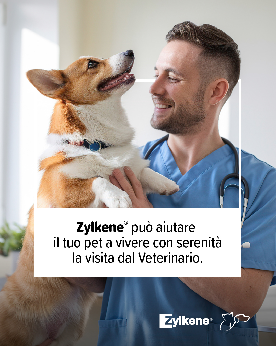 My Happy Pet Italia by Vetoquinol Facebook ad: Il rientro dalle vacanze è il momento ideale…