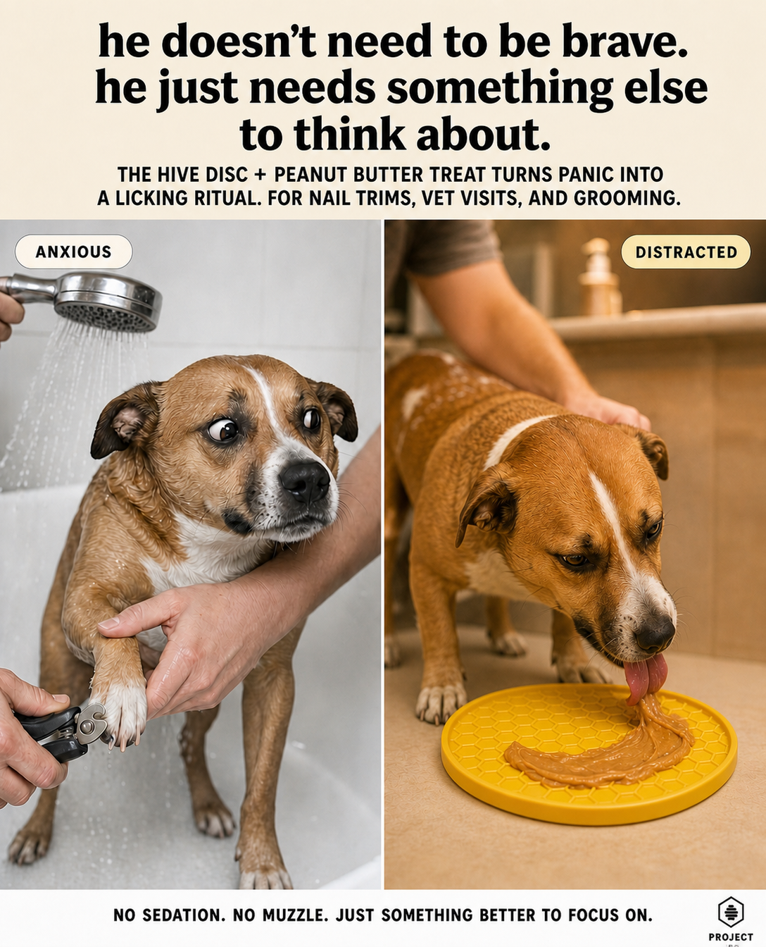 Project Hive Pet Company Facebook ad: One Disc Just Replaced Three Things In Your Dog Bag Made…