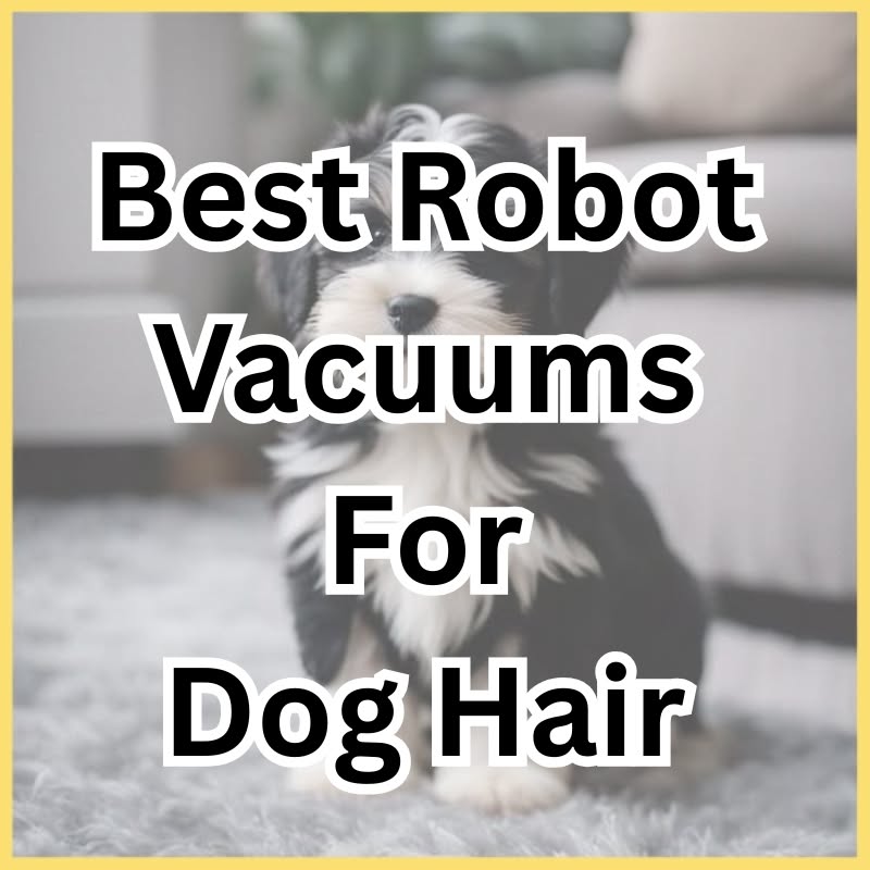 Extract Finds Facebook ad