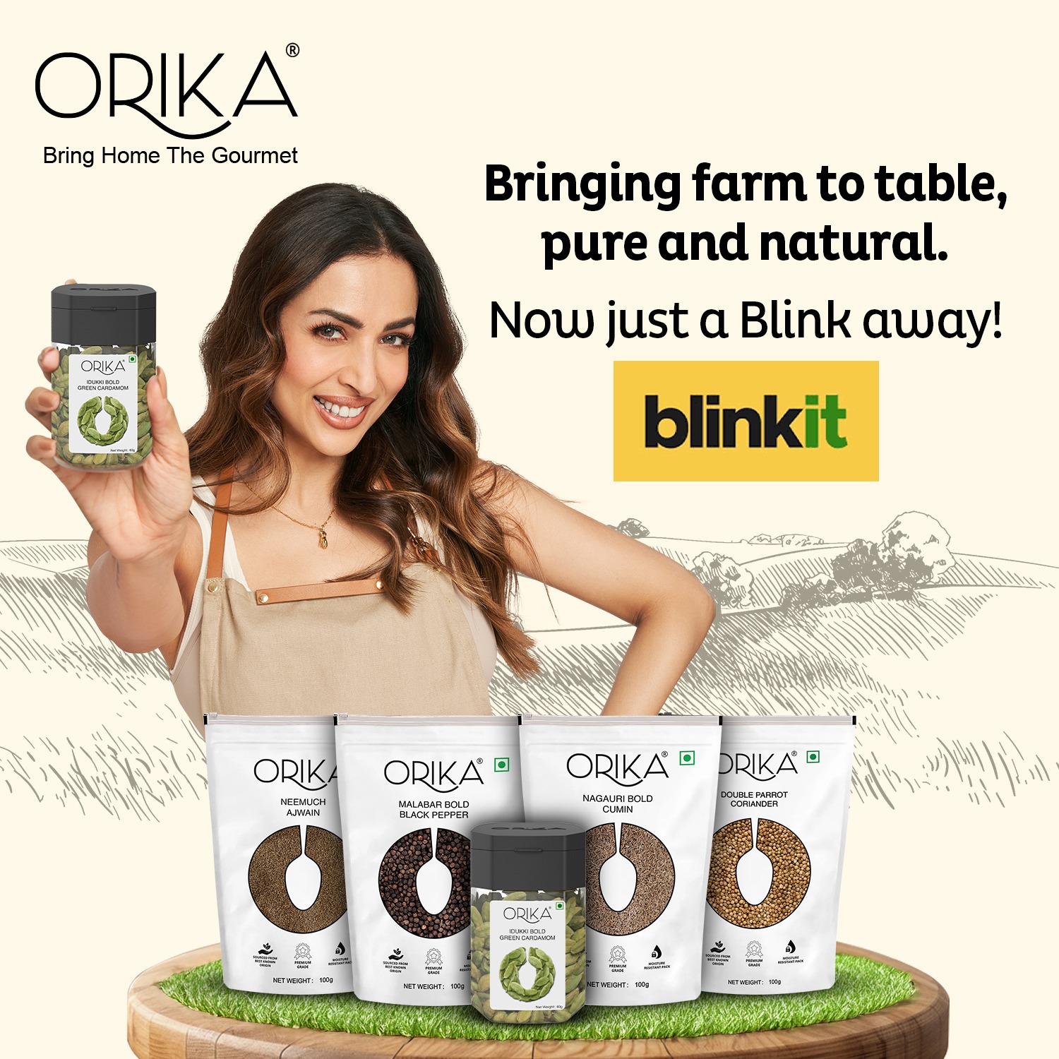 Orika Spices Facebook ad